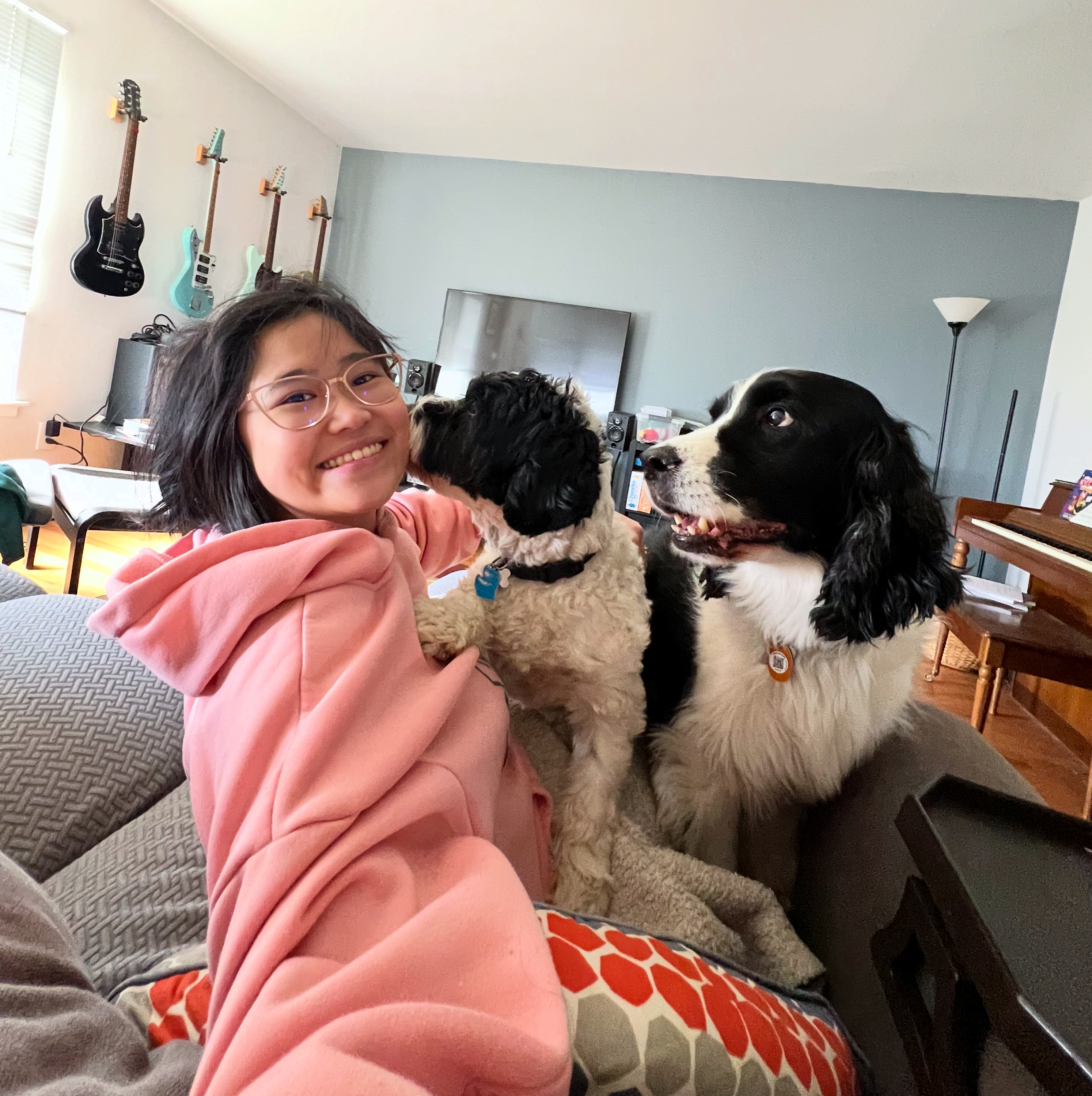 Doodle puppy mid-pat